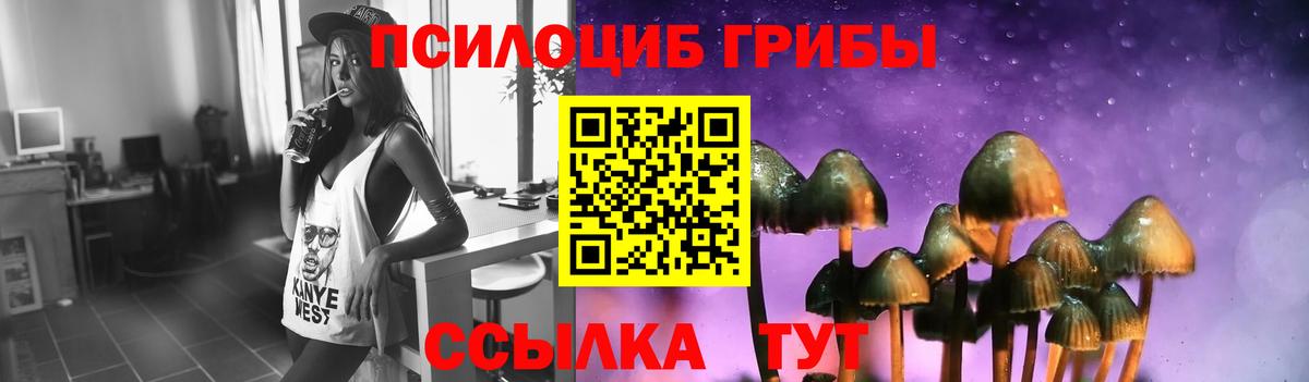 Минусинск  Псилоцибиновые грибы прущие грибы  Вход с VPN 